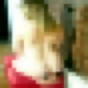 Farah, femme de 35 ans veut beurette à Achiet-le-Grand