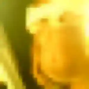 beurette à Ahuillé : photo de Farida, 23 ans - inscription gratuite