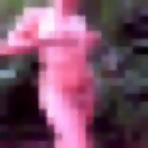 Photo de Nesrine à Aiglemont (36 ans) - beurette anonyme