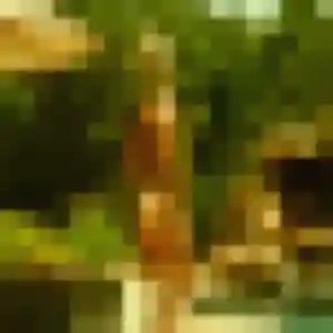 Photo exclusive de Ouarda, 38 ans à Aigues-Mortes - rencontre coquine