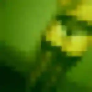 Maissa de Ajain, 42 ans - beurette discret