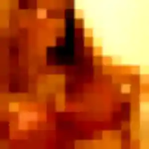 Photo de Safia à Albitreccia (41 ans) - beurette gratuit