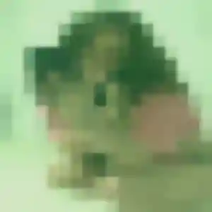 Profil de Syrine à Allègre-les-Fumades (36 ans) - beurette gratuit