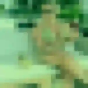 Talia, 27 ans, connectée à Allery pour une rencontre coquine