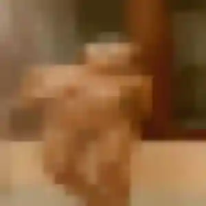 beurette à Allouagne : photo de Ouarda, 39 ans - sans engagement