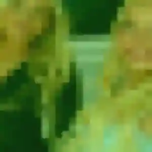 Jolie Farah, 32 ans à Allouis - voir sa photo