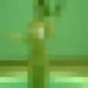 Profil de Dina à Alluyes (33 ans) - beurette gratuit