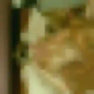 Photo de Zineb à Altkirch (31 ans) - beurette sans inscription