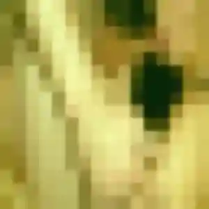 Fouzia, 32 ans, connectée à Ance Féas pour une rencontre coquine