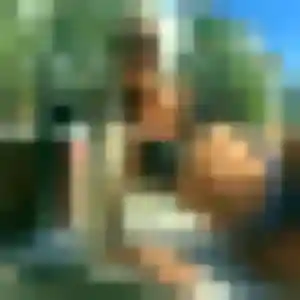 Photo exclusive de Melissa, 44 ans à Ance Féas - rencontre coquine