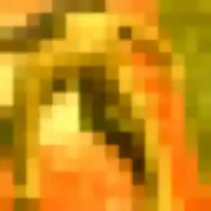 Photo de Lina à Andel (26 ans) - beurette anonyme