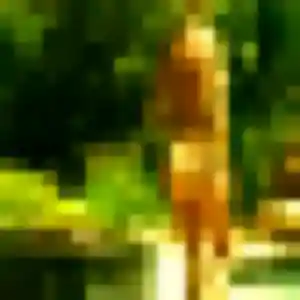 Inaya, femme de 29 ans propose beurette à Angres