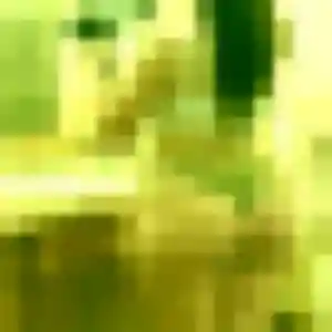 Jamila de Arçonnay, 44 ans - beurette discret