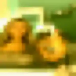 Malika (29 ans) à Arenthon propose une rencontre rapidement
