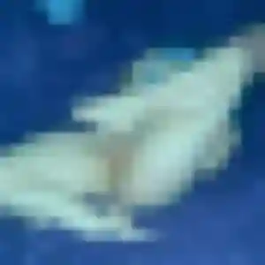 Photo perso de Karima, 35 ans à Argentan - rencontre coquine