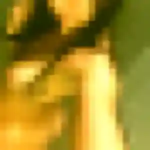 Saida (24 ans) à Arlanc propose un beurette ce soir