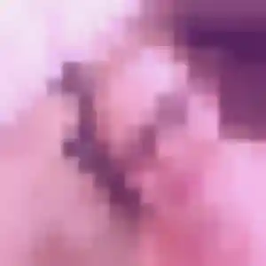 Photo de Djamila à Arnèke (31 ans) - beurette sans inscription