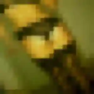 Lila de Artannes-sur-Indre, 36 ans - beurette en toute liberté