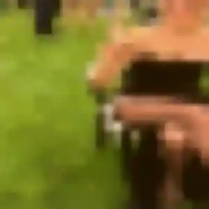Belle Nadia, 45 ans à Asfeld - voir sa photo