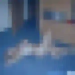 Profil de Linda à Assat (35 ans) - beurette discret