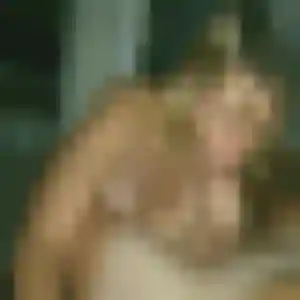 Rokia de Assieu, 37 ans - beurette sans lendemain