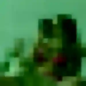 Jolie Souad, 38 ans à Athis-Val de Rouvre - la contacter