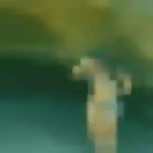 Photo exclusive de Nabila, 44 ans à Audruicq - rencontre sans lendemain