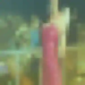 Photo privée de Syrine, 30 ans à Aulnay-sur-Mauldre - rencontre coquine
