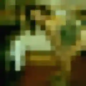 Safiya de Baguer-Pican, 23 ans - beurette sans lendemain