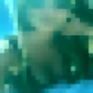 Maissa (43 ans) à Bailly propose un beurette maintenant