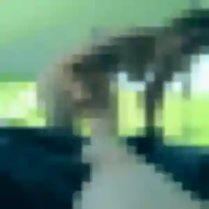 Hajar, femme de 29 ans cherche beurette à Bais