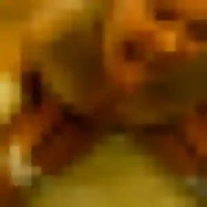 Photo privée de Dalila, 23 ans à Ballan-Miré - rencontre sans lendemain