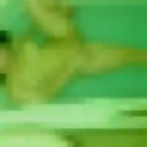 Sarah, femme de 43 ans propose beurette à Barbentane