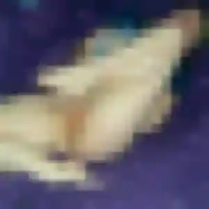 Sexy Jamila, 38 ans à Bassens - la contacter