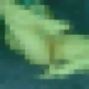 Nadia, 39 ans, disponible à Baud pour un beurette