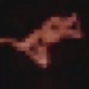 Photo de Mina à Bazougers (39 ans) - beurette discret