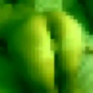 Photo perso de Hind, 24 ans à Beaucouzé - rencontre coquine