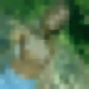 Jolie Aicha, 43 ans à Beaugency - la contacter