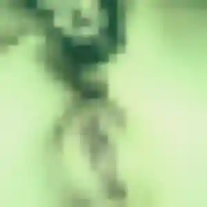 Profil de Amina à Beaugency (37 ans) - beurette anonyme
