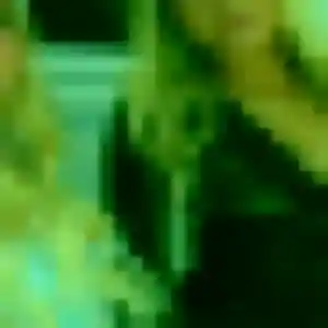 beurette à Beaulieu-lès-Loches : photo de Samira, 36 ans - accès libre