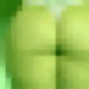 Photo de Siham à Beaulieu-sur-Layon (35 ans) - beurette anonyme