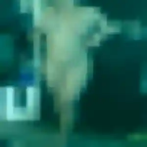 Rejoins Djamila, 40 ans à Beausemblant gratuitement