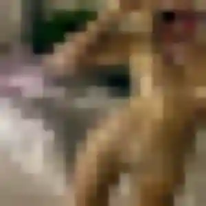 Photo sexy de Ines, 26 ans à Bedous - rencontre sans lendemain