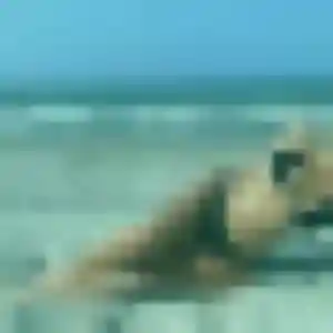 Photo de Noura à Belbeuf (28 ans) - beurette anonyme