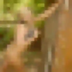 Dina, 25 ans, disponible à Belforêt-en-Perche pour un beurette