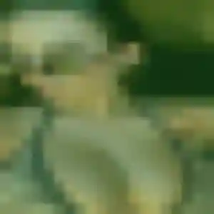 Photo de Ihsane à Béligneux (23 ans) - beurette anonyme
