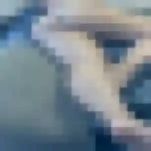 Farah de Bellegarde, 40 ans - beurette sans prise de tête