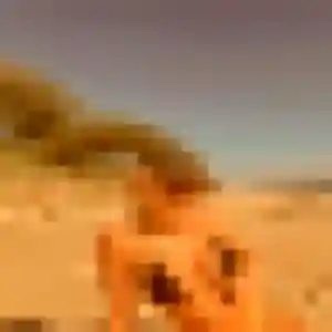 Jolie Nawal, 30 ans à Belley - voir sa photo