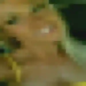Nadia (45 ans) à Bellignat propose un beurette maintenant