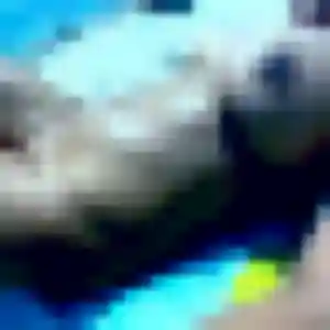 Tinhinane, fille de 35 ans cherche beurette à Belmont